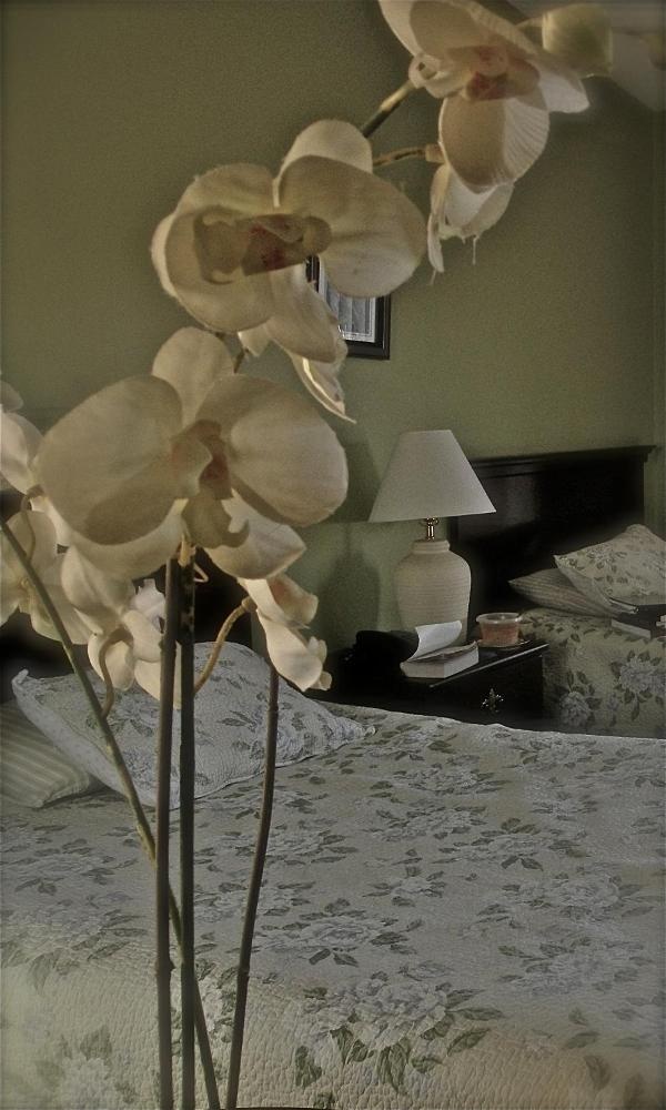 Harmony Motel image 34